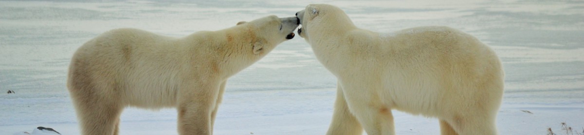 thebeautyofdigital.com